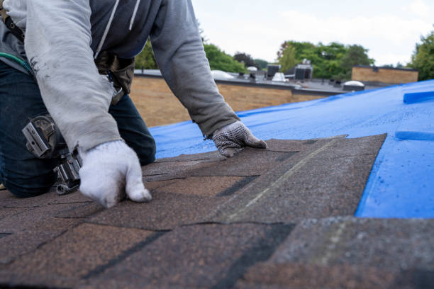 Best Affordable Roofing Company  in Newton, KS