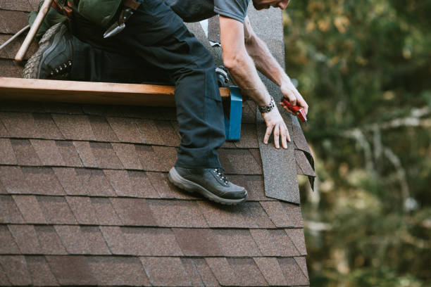 Best Metal Roofing Contractor  in Newton, KS